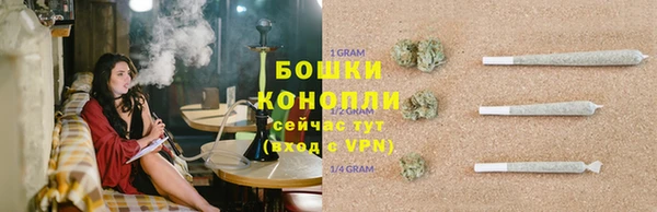 spice Арсеньев