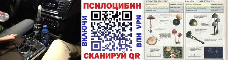 хочу наркоту  Кемерово  Псилоцибиновые грибы GOLDEN TEACHER 